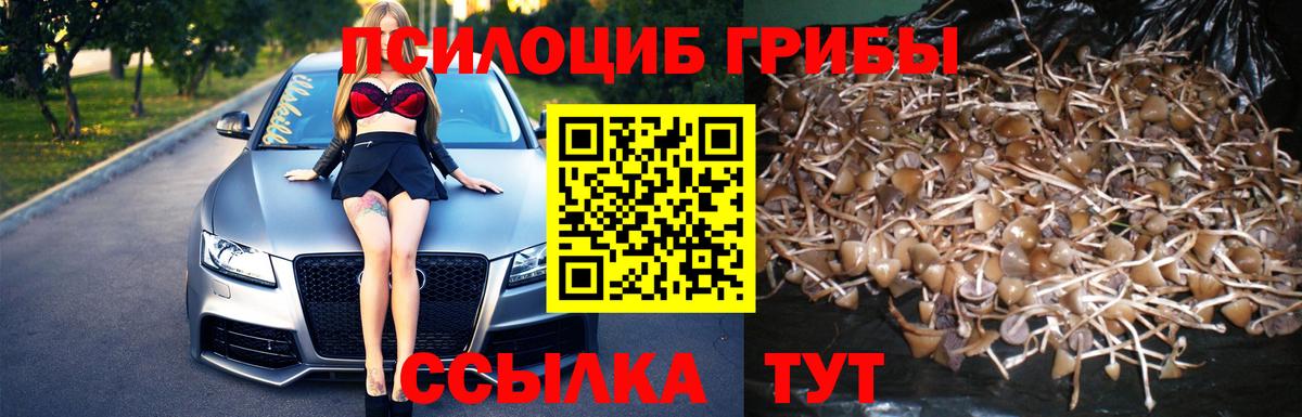 Псилоцибиновые грибы прущие грибы Комсомольск-на-Амуре