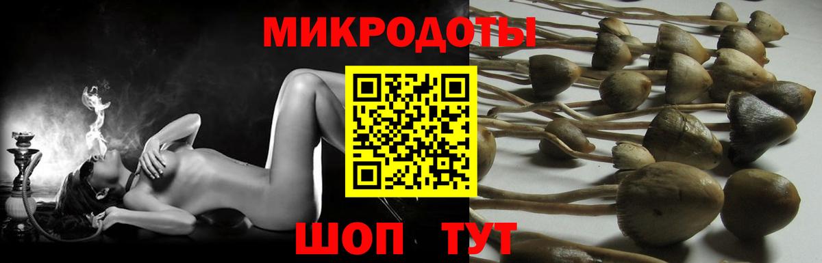 Галлюциногенные грибы Cubensis  Галлюциногенные грибы мухоморы  Вход с VPN  Комсомольск-на-Амуре 